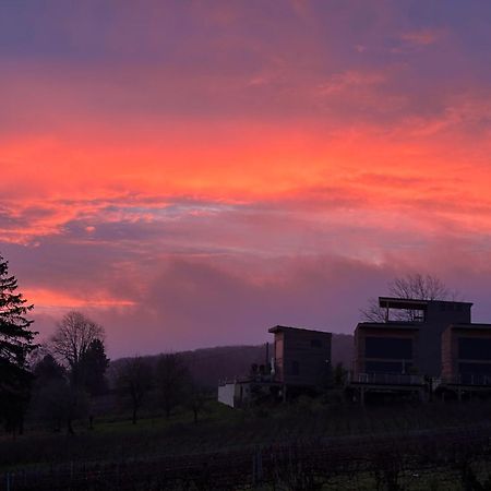 Cottages Antoinette Chigny-les-Roses Bagian luar foto