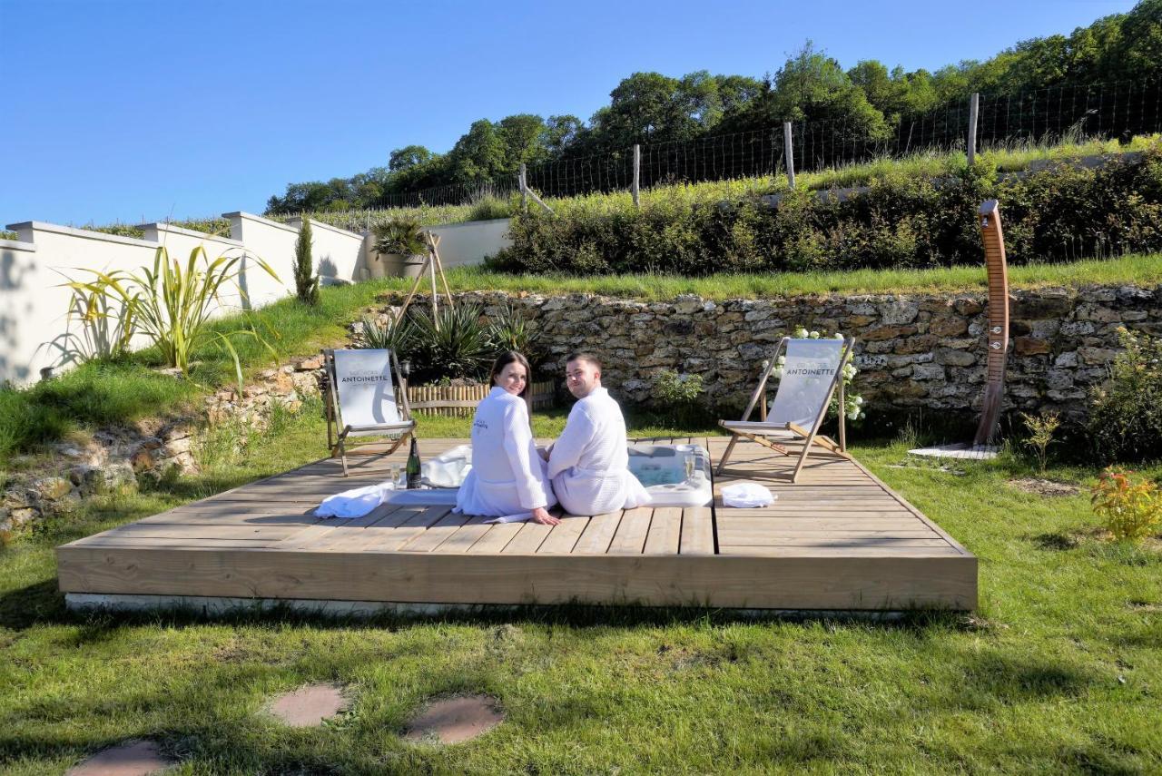 Cottages Antoinette Chigny-les-Roses Bagian luar foto