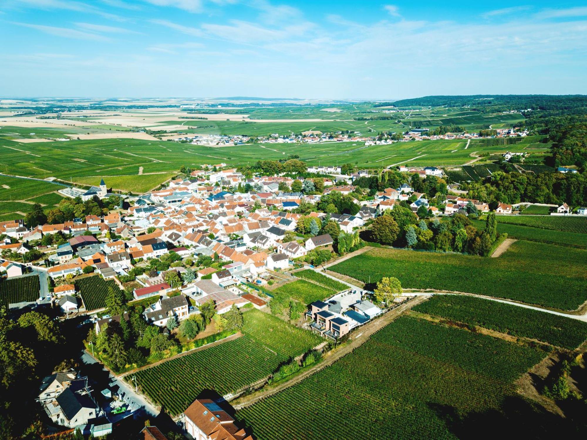 Cottages Antoinette Chigny-les-Roses Bagian luar foto