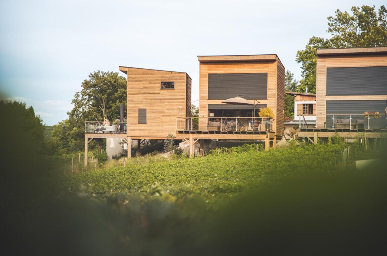 Cottages Antoinette Chigny-les-Roses Bagian luar foto