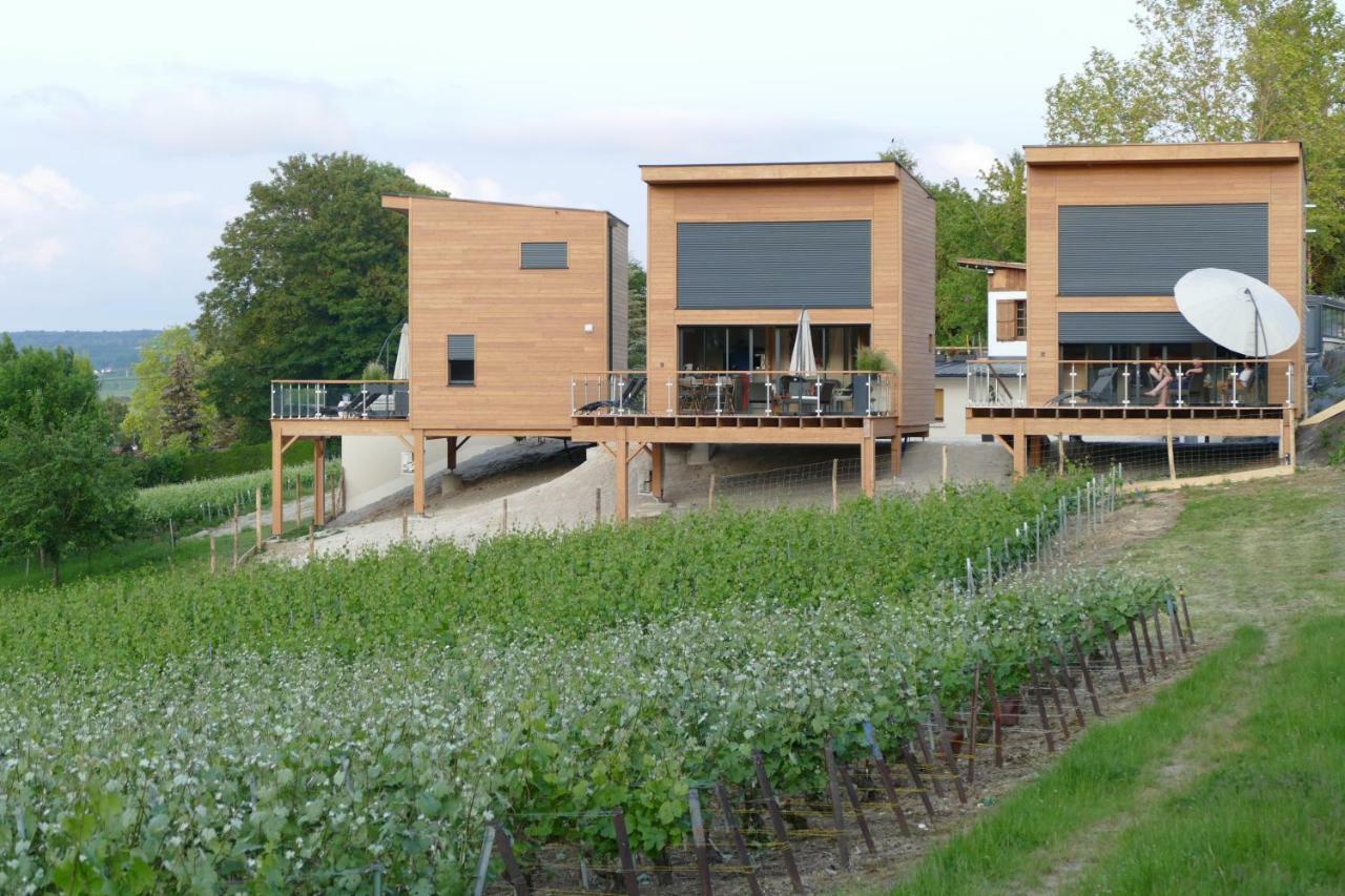 Cottages Antoinette Chigny-les-Roses Bagian luar foto