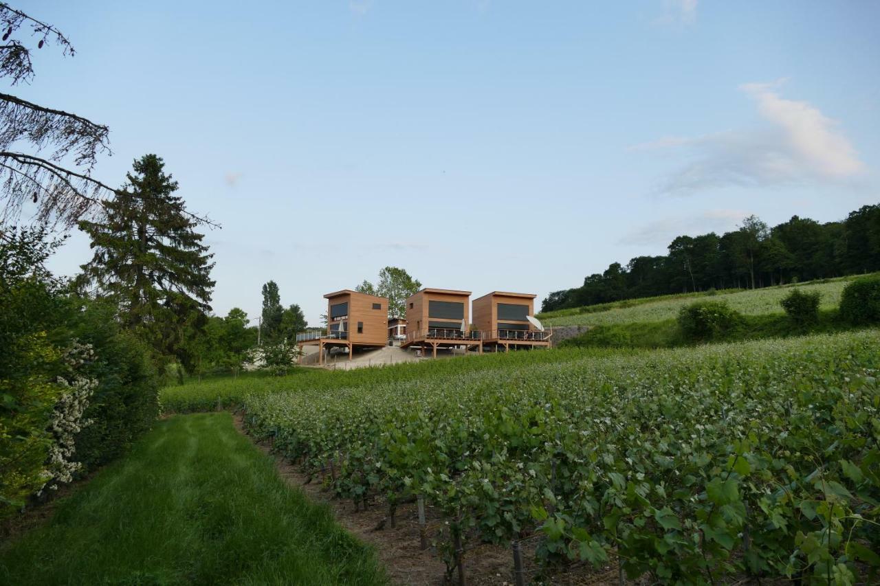 Cottages Antoinette Chigny-les-Roses Bagian luar foto