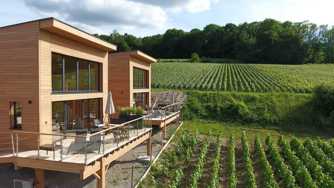 Cottages Antoinette Chigny-les-Roses Bagian luar foto