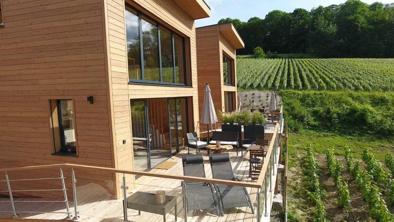 Cottages Antoinette Chigny-les-Roses Bagian luar foto