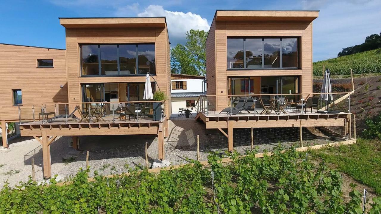 Cottages Antoinette Chigny-les-Roses Bagian luar foto