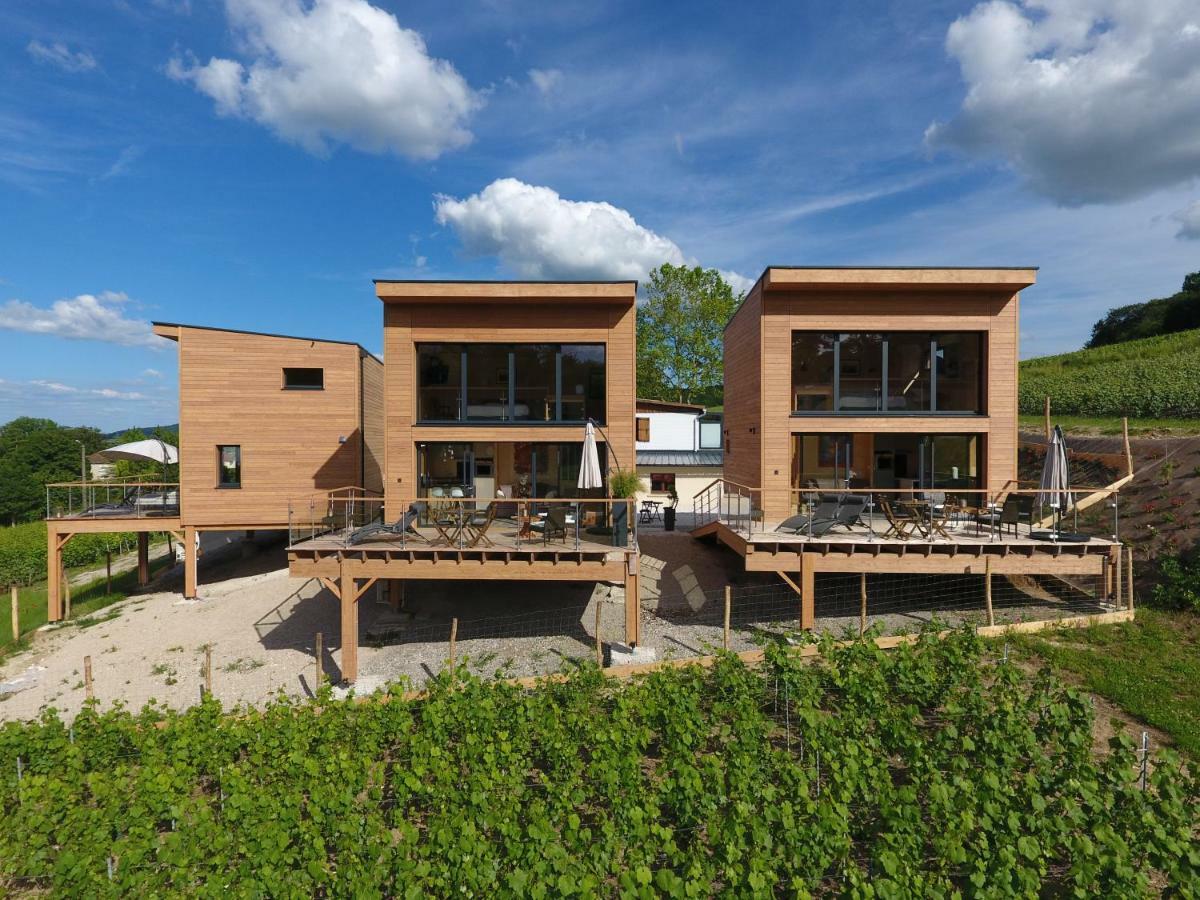 Cottages Antoinette Chigny-les-Roses Bagian luar foto